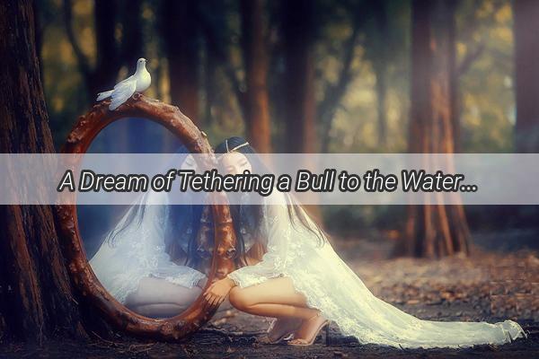 A Dream of Tethering a Bull to the Water trough Unveiling the Symbolism and Secrets Behind this Intriguing Vision